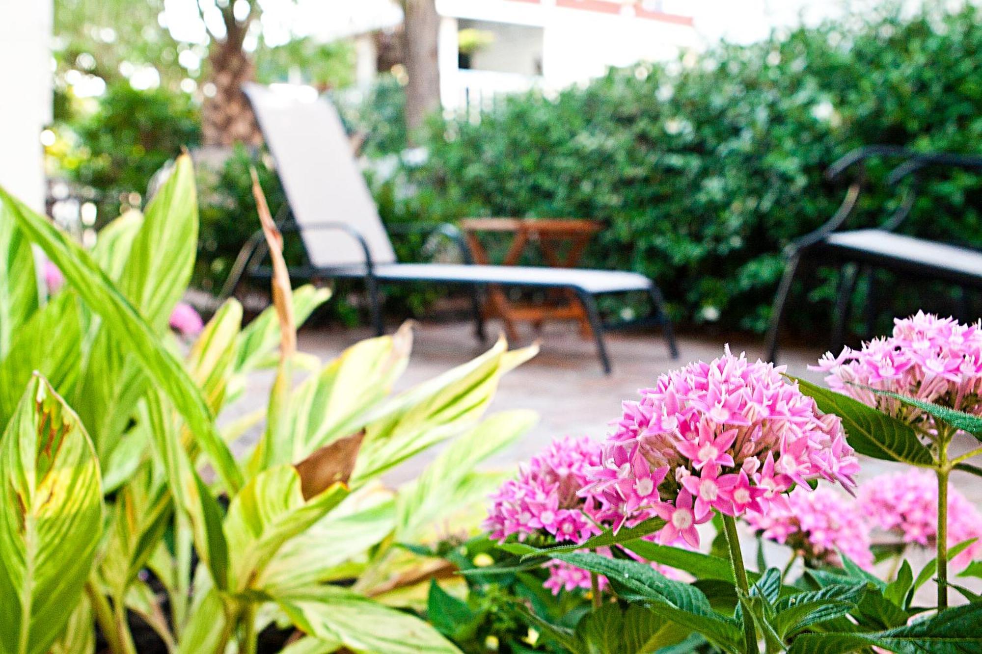 טייבי איילנד Desoto Beach Gardens מראה חיצוני תמונה